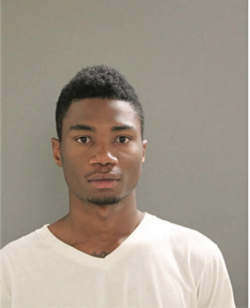 BRANDON J MATHIS, Cook County, Illinois