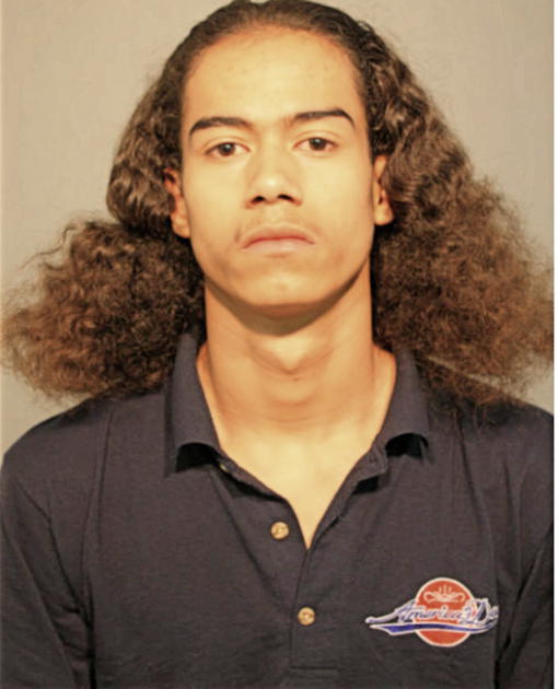 ROBERT J MELENDEZ, Cook County, Illinois