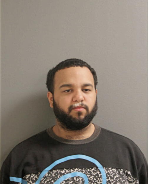 EDWIN G NIEVES, Cook County, Illinois