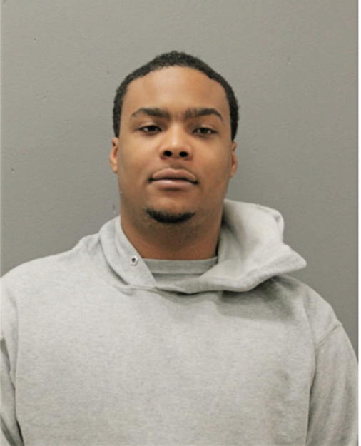 DANIEL B PALM, Cook County, Illinois
