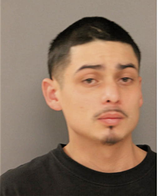 JOSE G PATINO, Cook County, Illinois