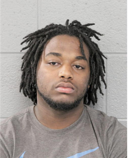 MICHAEL L STIDHUM, Cook County, Illinois