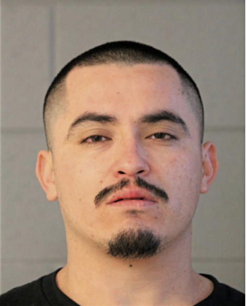 MIGUEL VALENZUELA, Cook County, Illinois