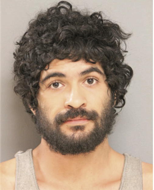 RAFAEL BANUELOS-SANTOS, Cook County, Illinois