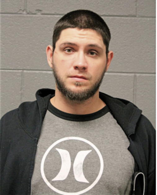ANTHONY J BORKOWSKI, Cook County, Illinois