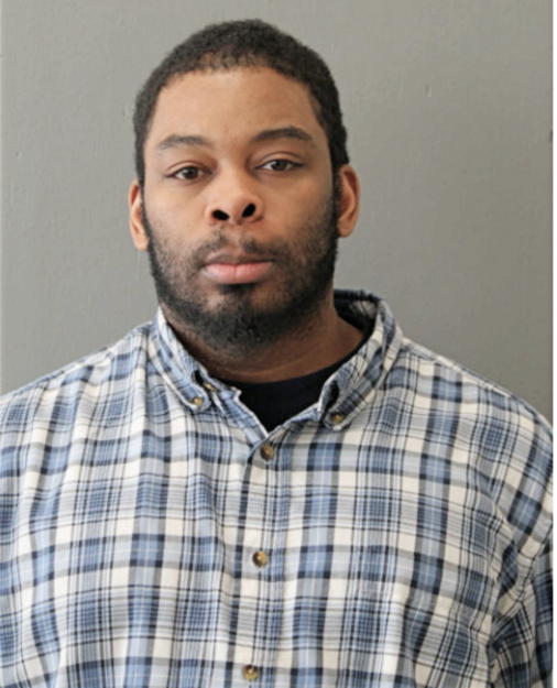 GABRIEL M BROWN, Cook County, Illinois