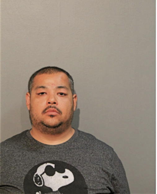 FABIAN FLORES, Cook County, Illinois