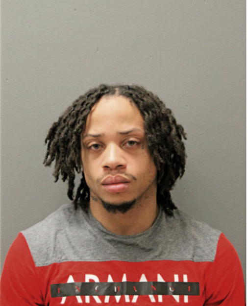 TERRANCE J HOGAN, Cook County, Illinois