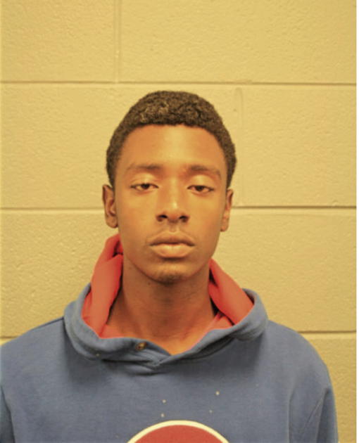 CHRISTIAN HOLT, Cook County, Illinois
