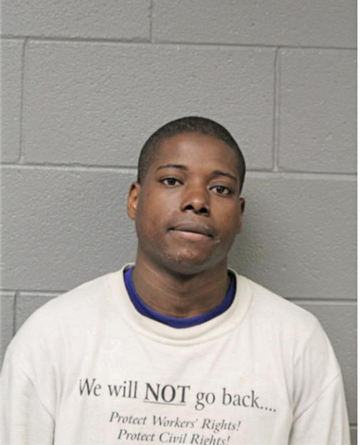 BRIAN R JOHNSON, Cook County, Illinois