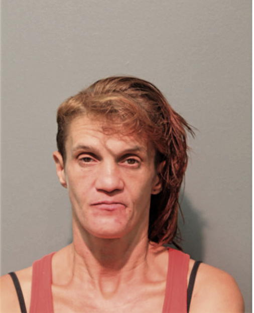 JULIE M KING, Cook County, Illinois