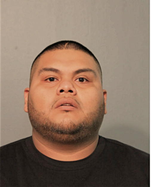 DAVID LAGUNAS, Cook County, Illinois