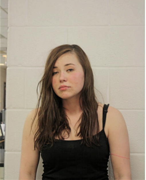 AGNIESZKA LAPINSKA, Cook County, Illinois