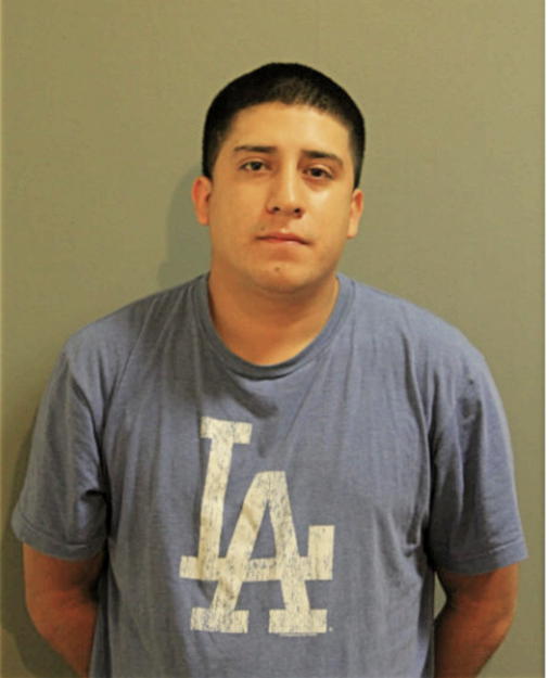 FABIAN LEDESMA, Cook County, Illinois