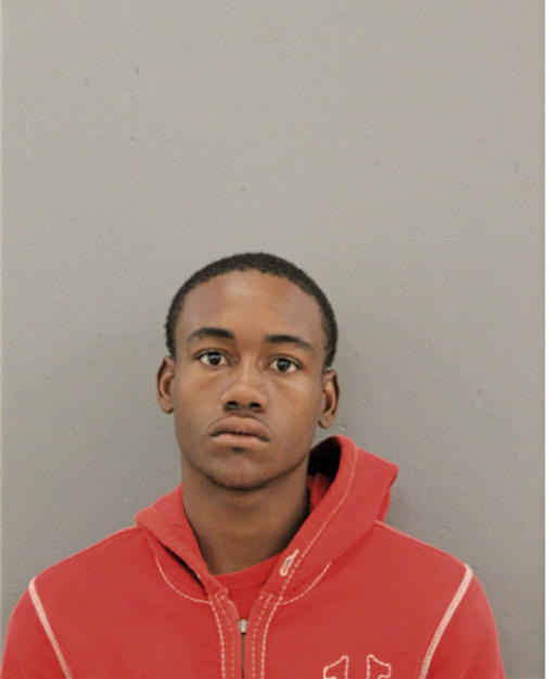 JAVON T NELSON, Cook County, Illinois