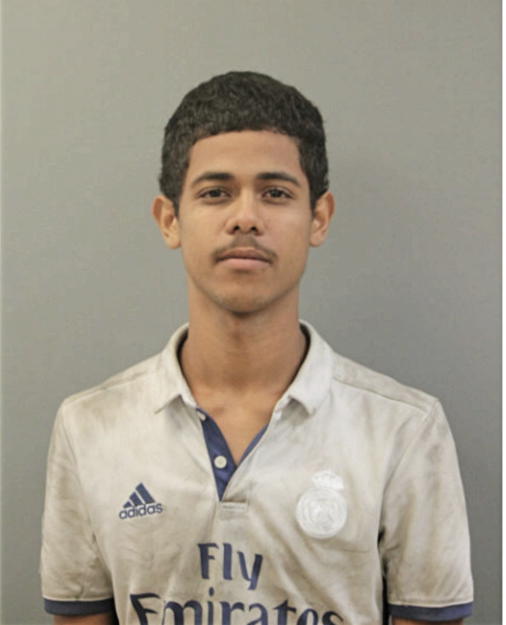 JOSHUA ORENGO ORTIZ, Cook County, Illinois