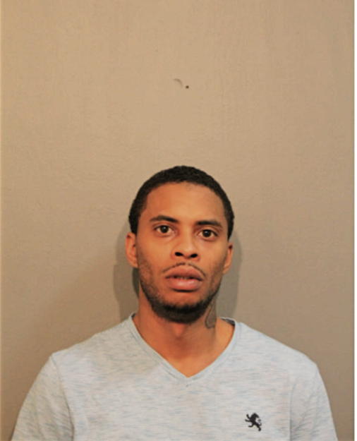 MICHAEL E RODGERS, Cook County, Illinois