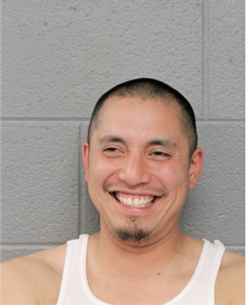 ADONIS SALGADO, Cook County, Illinois