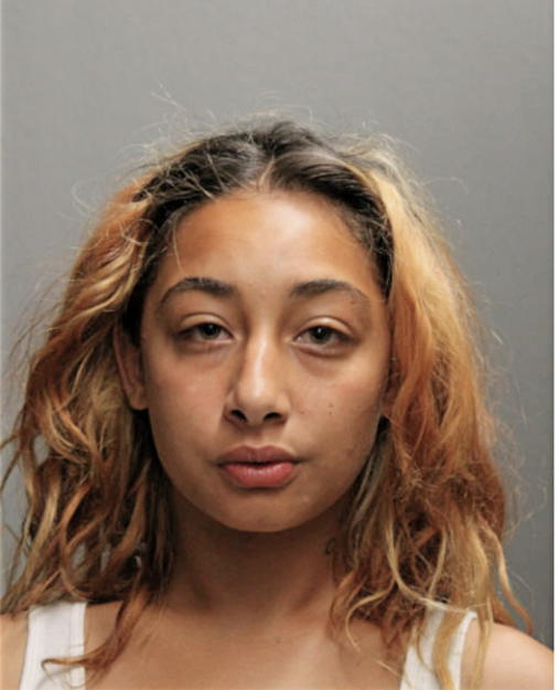 YDALIS CHRISTINE SANTIAGO, Cook County, Illinois