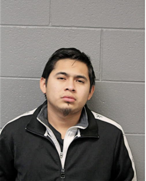 LUIS JAIMES SOSA, Cook County, Illinois