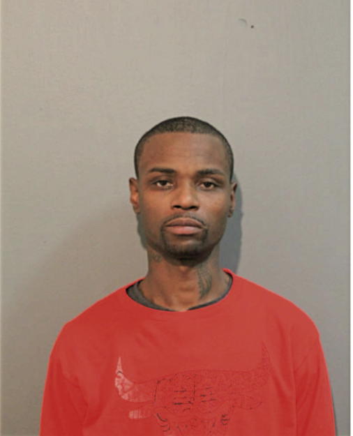 GREG B STEWART, Cook County, Illinois