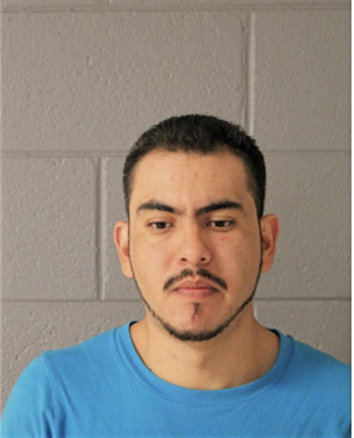 EDGAR E VALDEZ, Cook County, Illinois