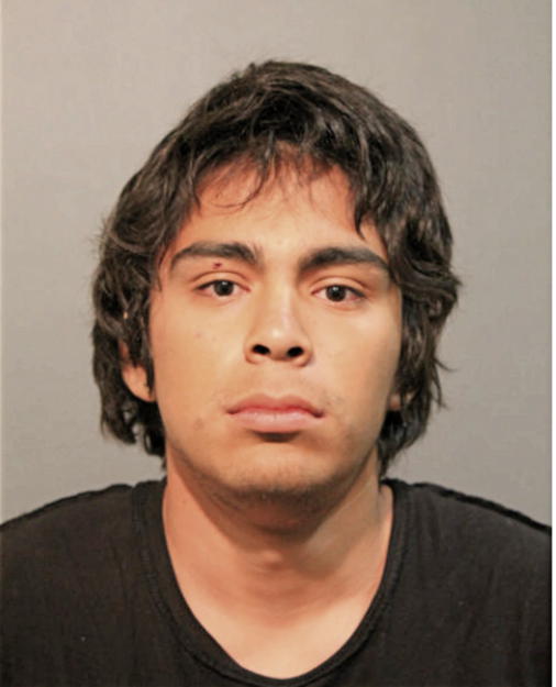 DANIEL J VASQUEZ, Cook County, Illinois