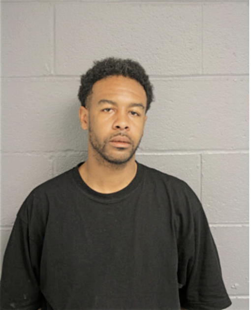 ARNOLD L BARNES, Cook County, Illinois