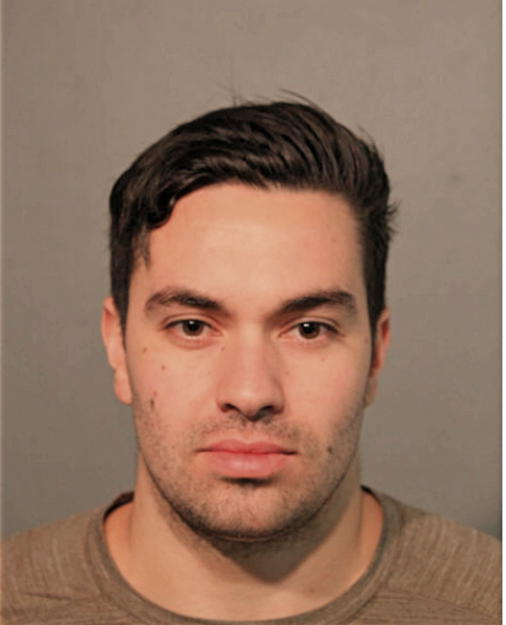 BRENO G BISONI, Cook County, Illinois