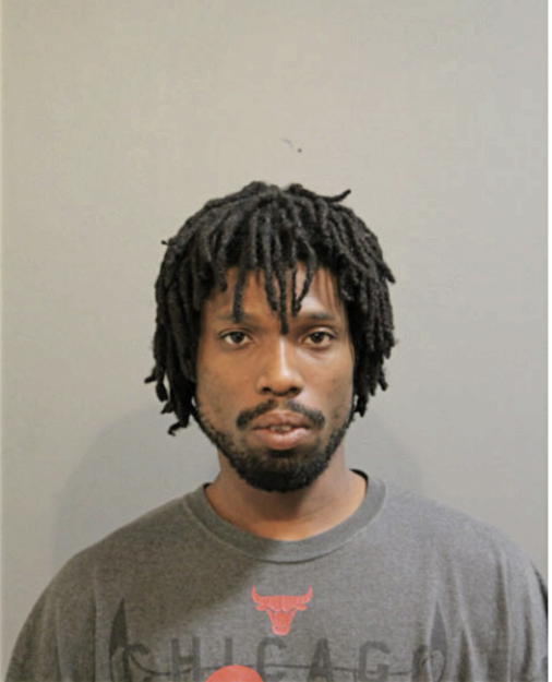 CHRISTOPHER L BROWN, Cook County, Illinois