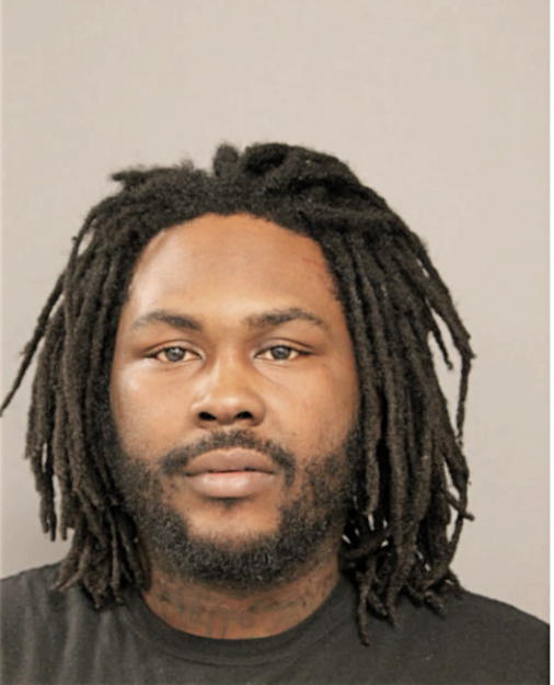 RANDY T BROWN, Cook County, Illinois