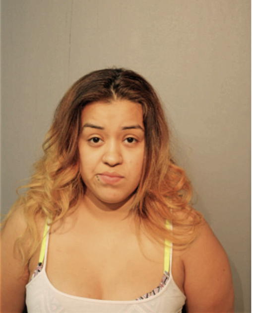 ASHLEY L BRUNO, Cook County, Illinois