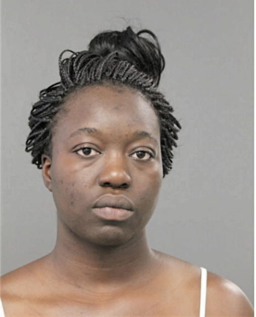 TAMMIE T CHAFFIN, Cook County, Illinois