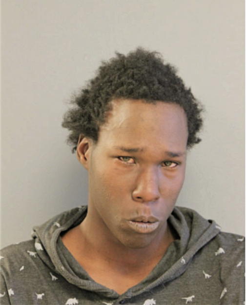 CHAS E CHESTNUT, Cook County, Illinois