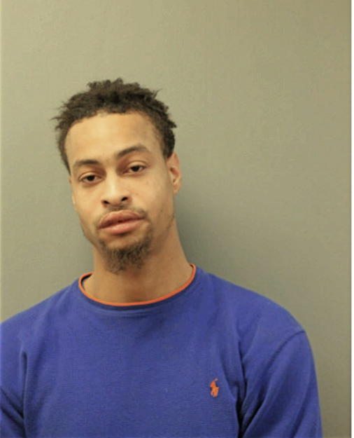 CHRISTIAAN DIOR DAVIS, Cook County, Illinois