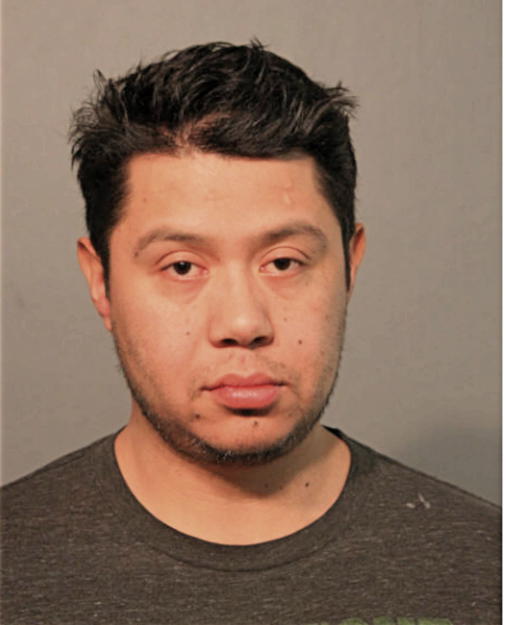 FELIX O DELGADILLO, Cook County, Illinois