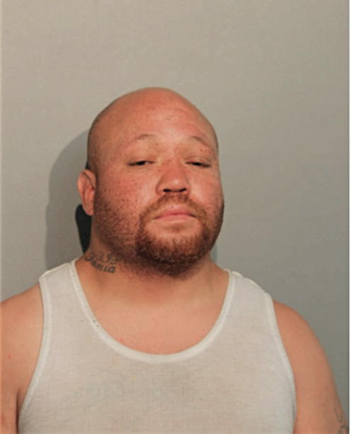 BRIAN D DYSON, Cook County, Illinois
