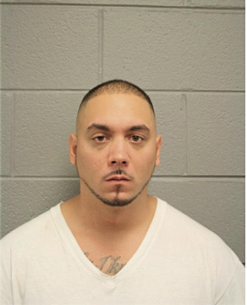 ISRAEL E FERNANDEZ, Cook County, Illinois