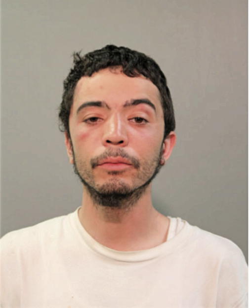 LEONARDO FERNANDEZ, Cook County, Illinois