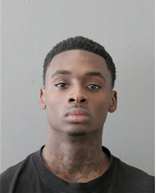 KENDALL FLEMING, Cook County, Illinois