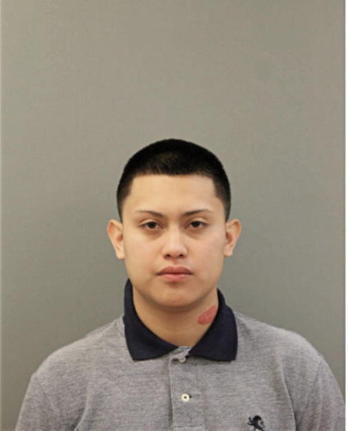 PEDRO F FLORES, Cook County, Illinois