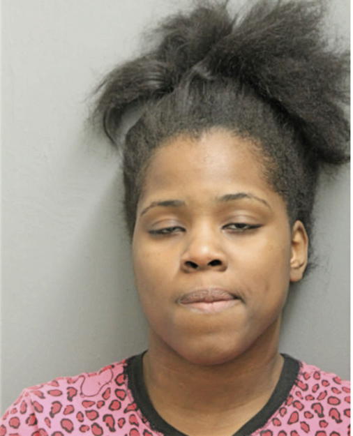 SHEKA S FOX, Cook County, Illinois