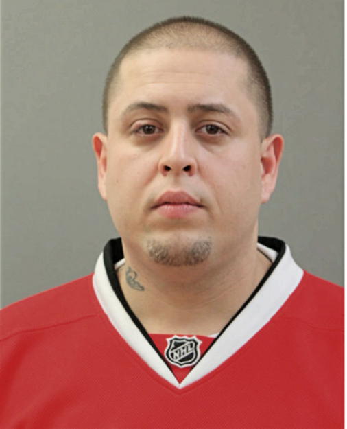 CARLOS A GARICA, Cook County, Illinois