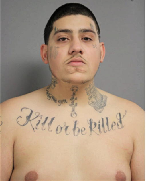 SHAWN A GHAZIANI, Cook County, Illinois