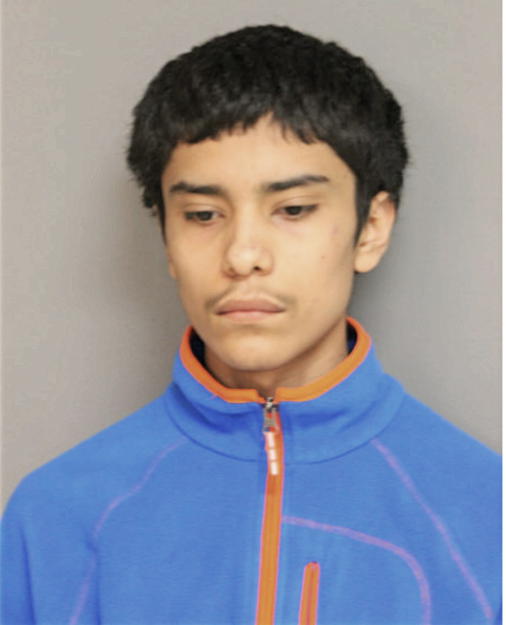 ALEJANDRO GOMEZ, Cook County, Illinois