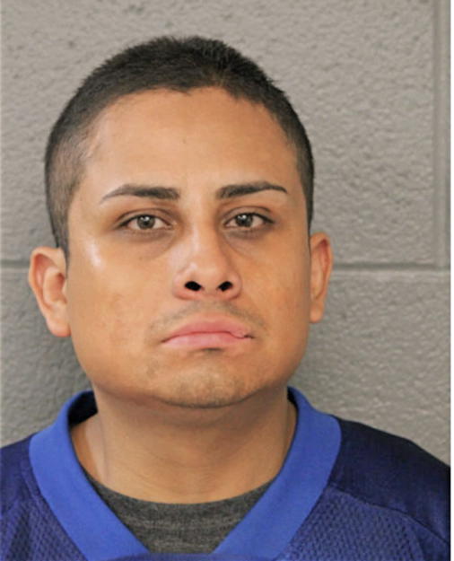 DANIEL R HERNANDEZ, Cook County, Illinois