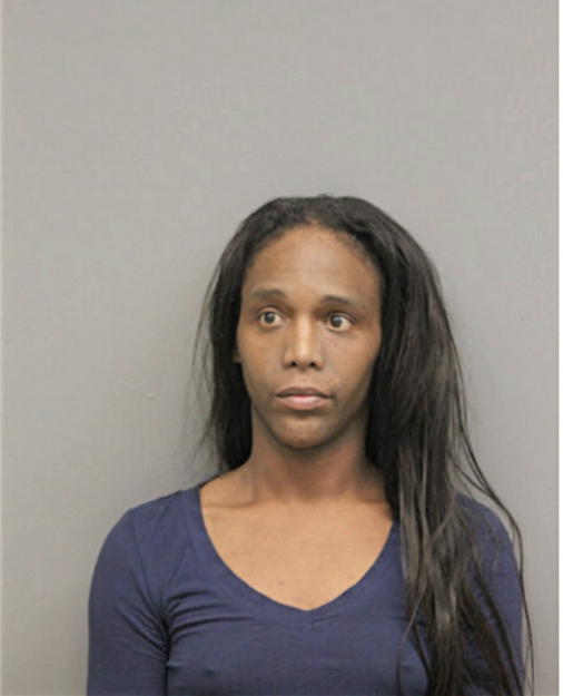 MICHAEL D IVY, Cook County, Illinois