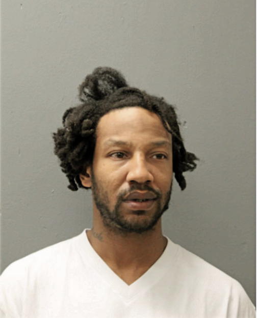 AMOS P JOHNSON, Cook County, Illinois