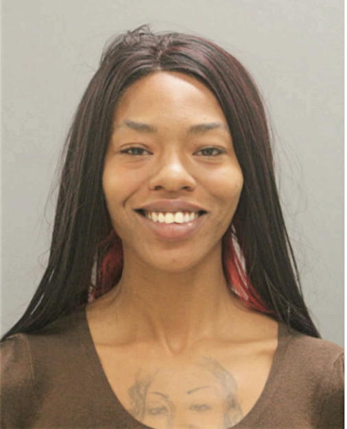 PARADYCE K MCKENZIE, Cook County, Illinois