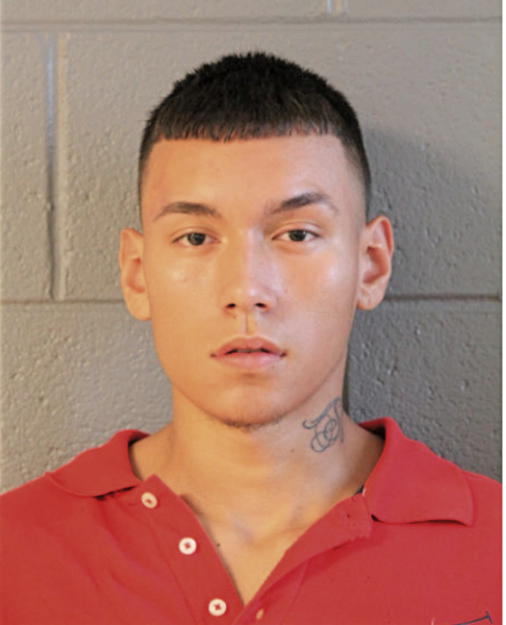 MIGUEL MEZA, Cook County, Illinois